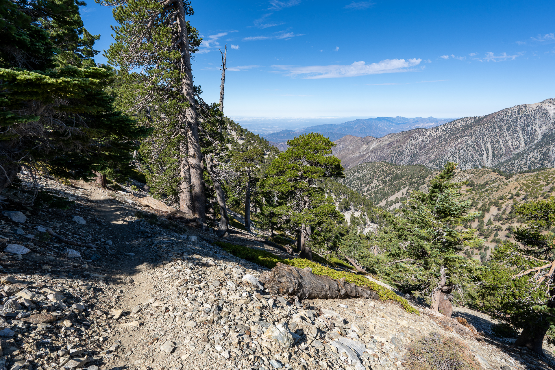 Telegraph Peak and Thunder Mountain Loop