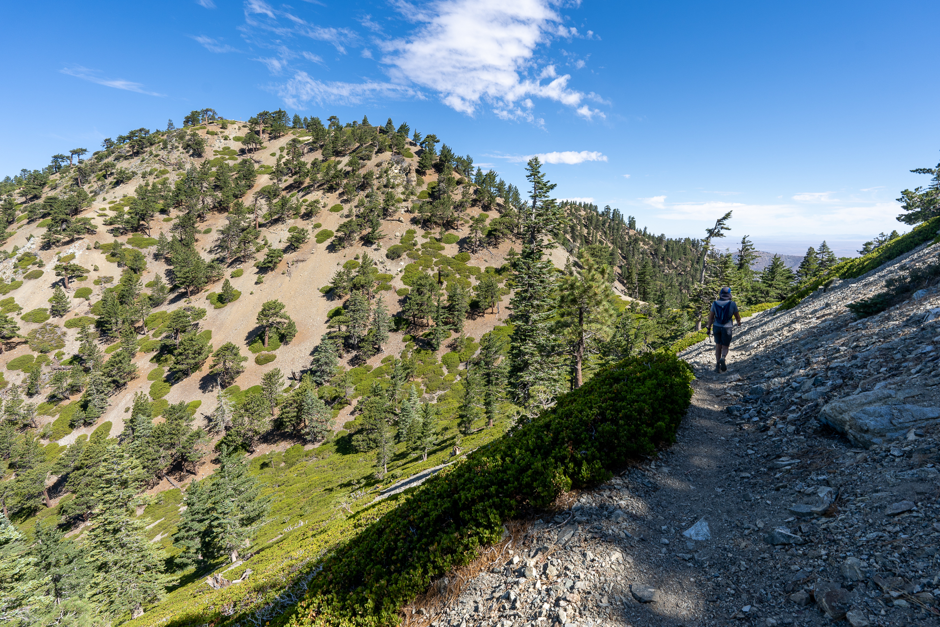 Telegraph Peak and Thunder Mountain Loop
