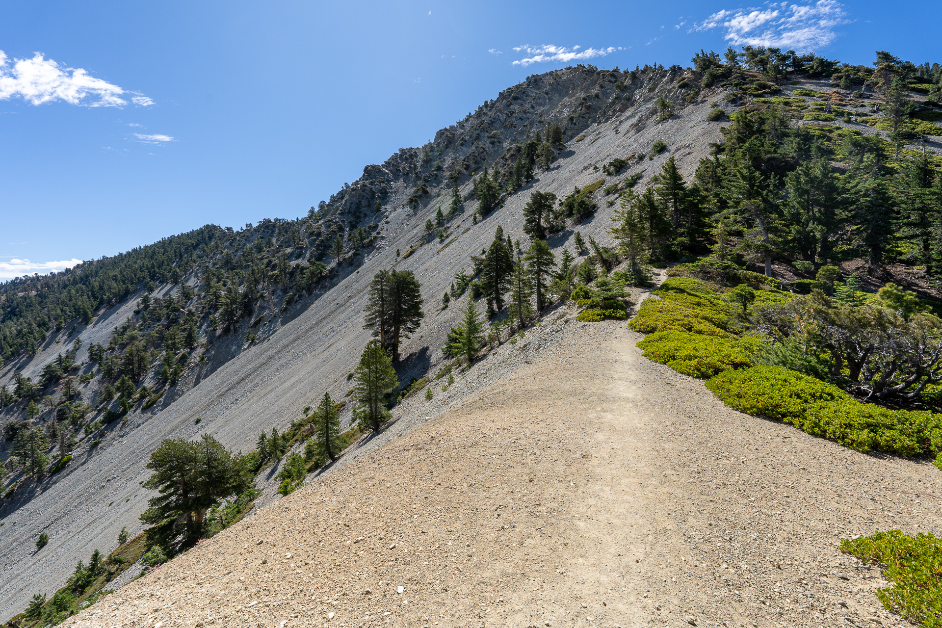 Telegraph Peak and Thunder Mountain Loop via Timbergraph Wash and Cedar Canyon