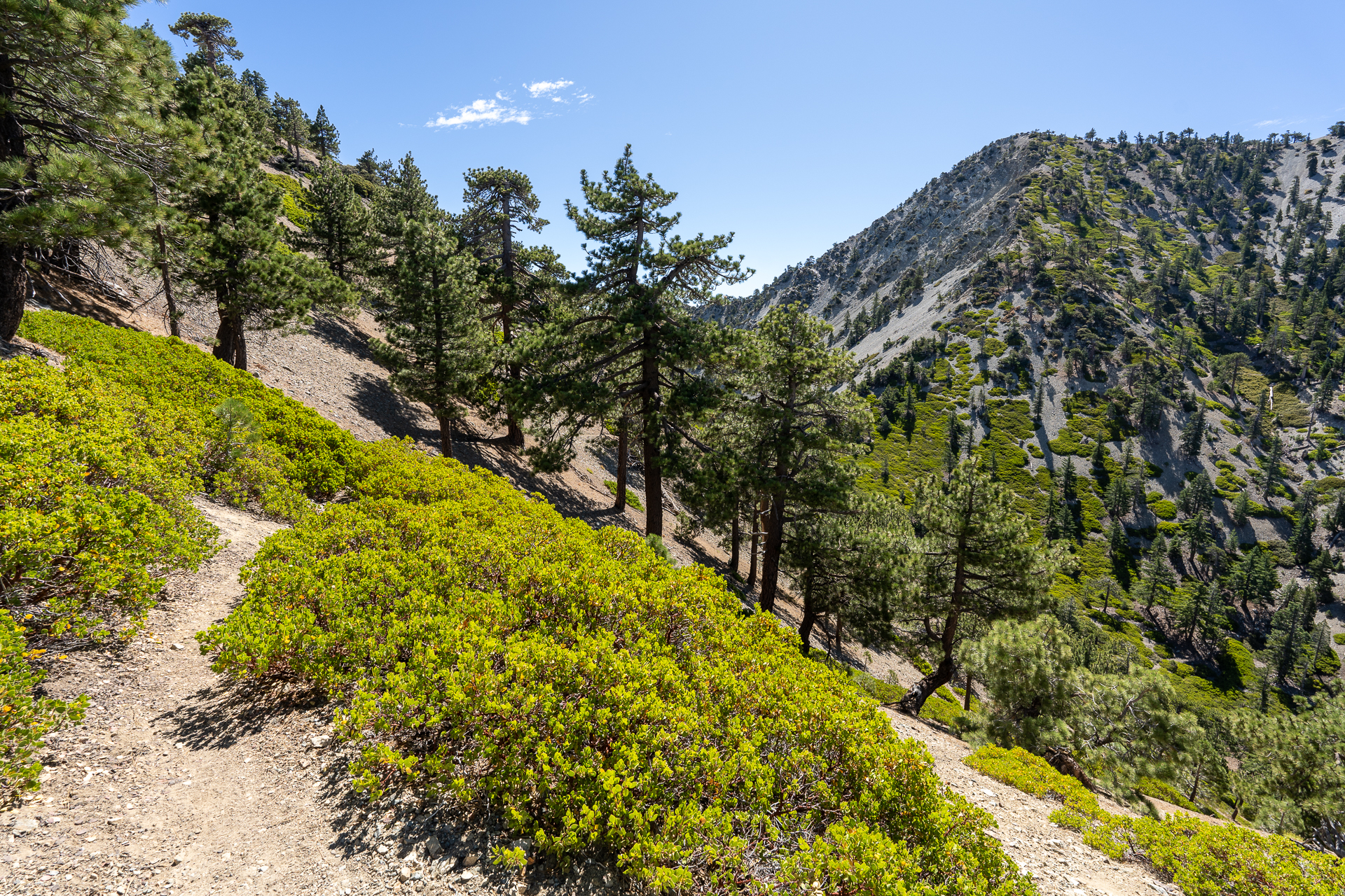 Telegraph Peak and Thunder Mountain Loop