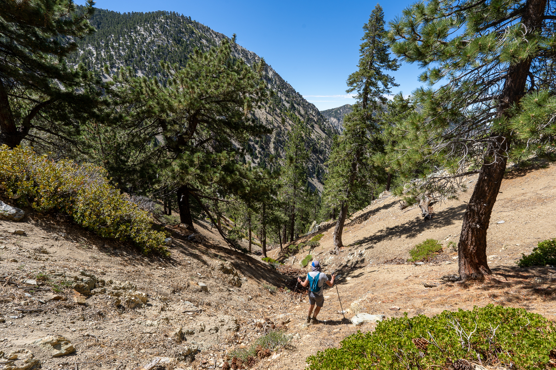 Telegraph Peak and Thunder Mountain Loop