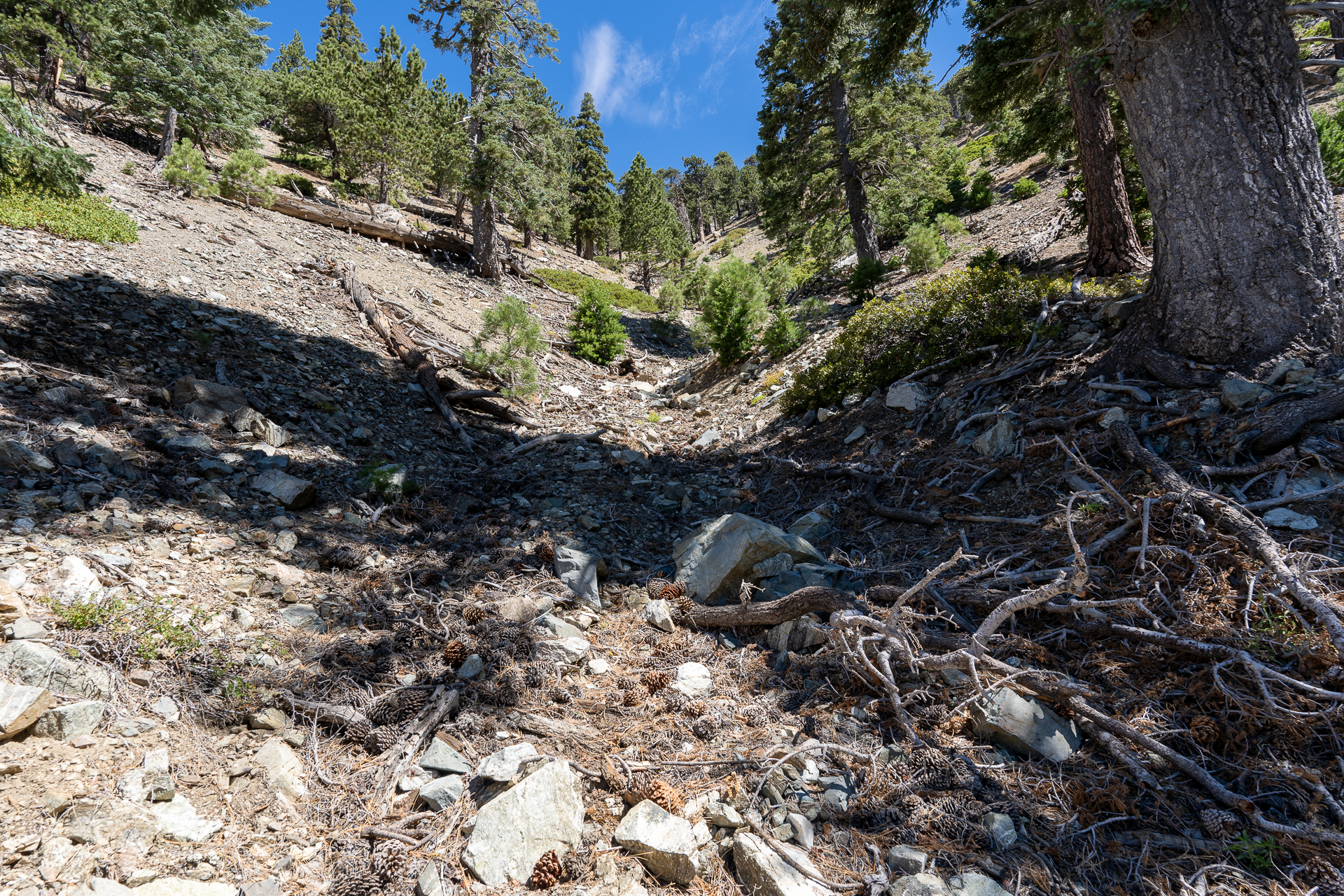 Telegraph Peak and Thunder Mountain Loop