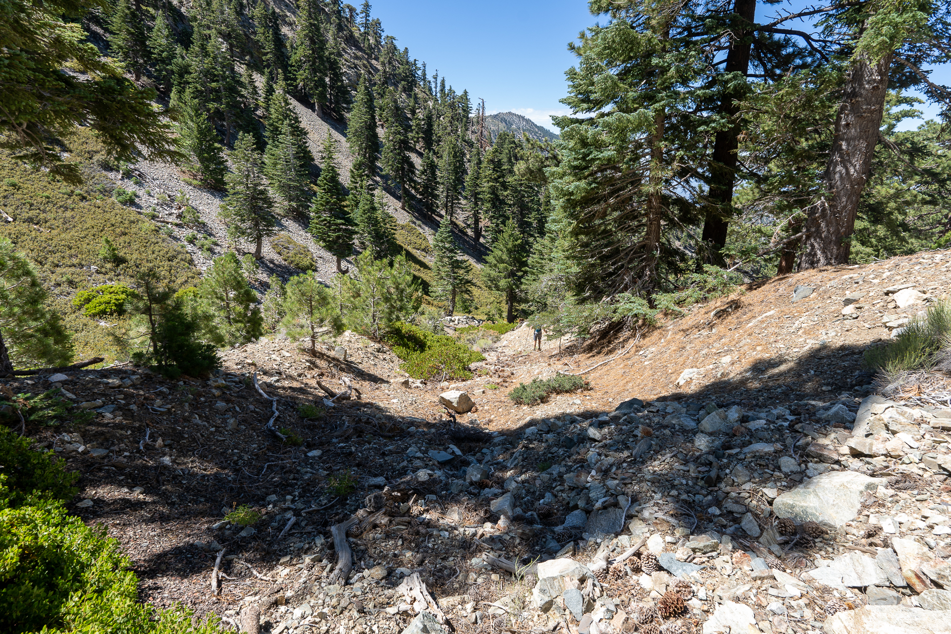 Telegraph Peak and Thunder Mountain Loop