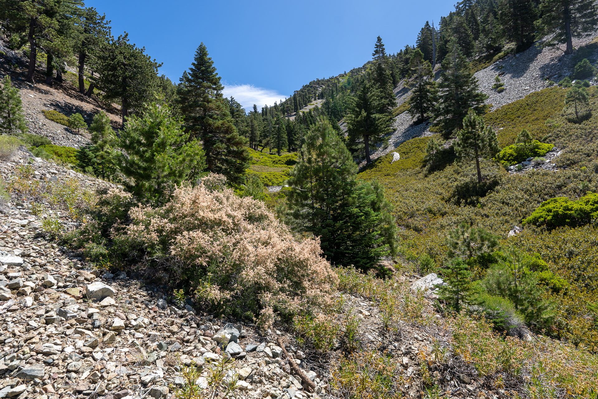 Telegraph Peak and Thunder Mountain Loop