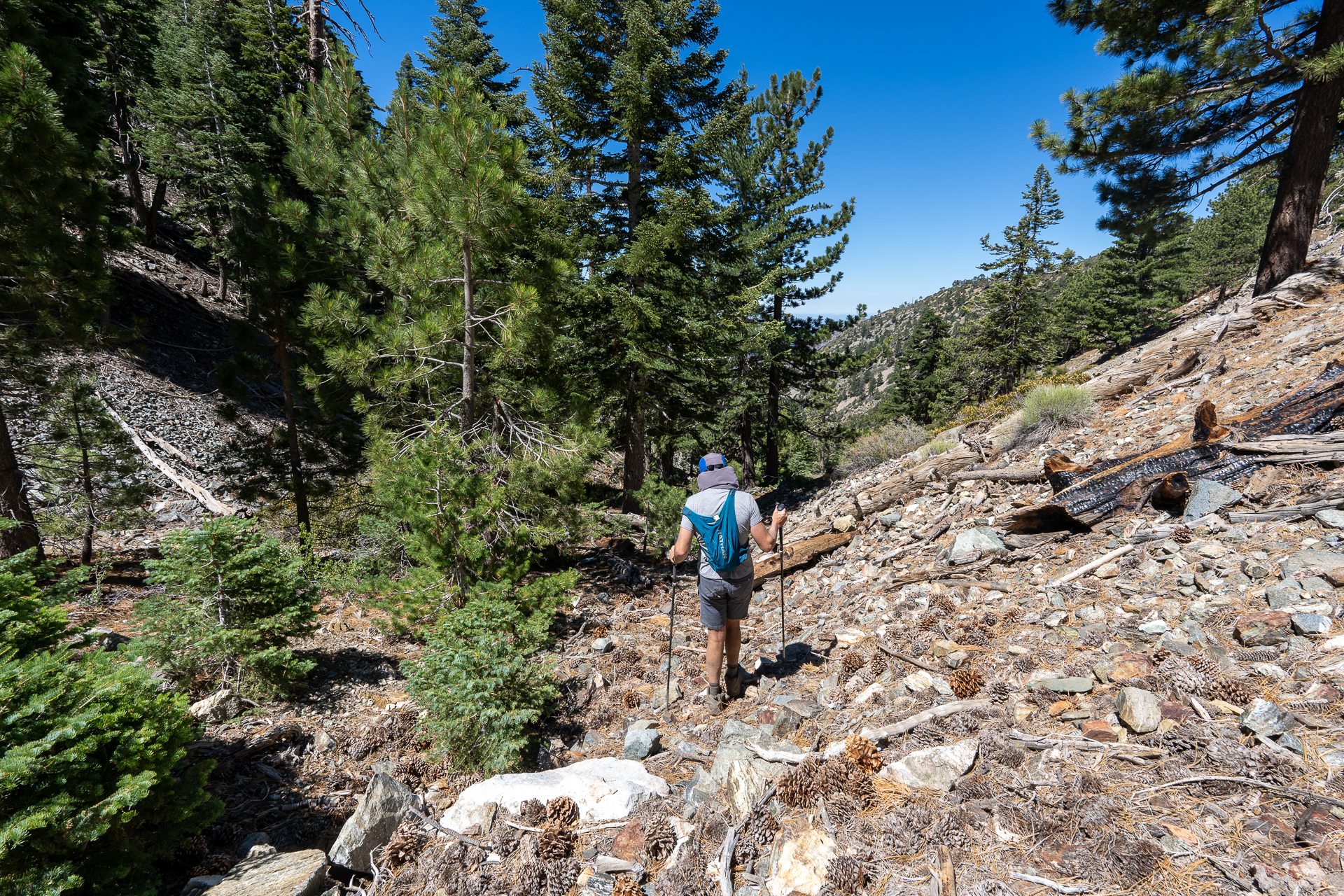 Telegraph Peak and Thunder Mountain Loop