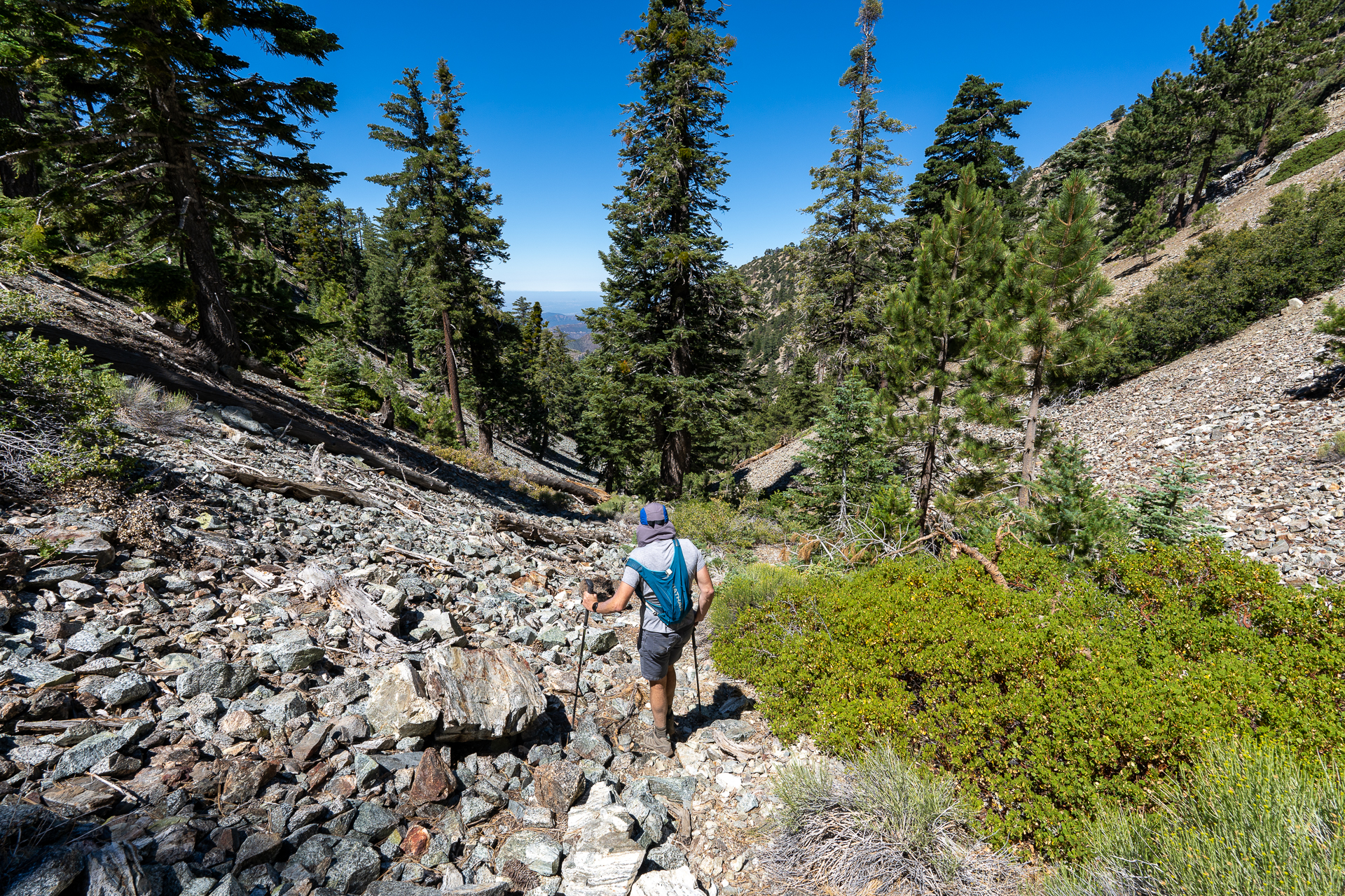 Telegraph Peak and Thunder Mountain Loop