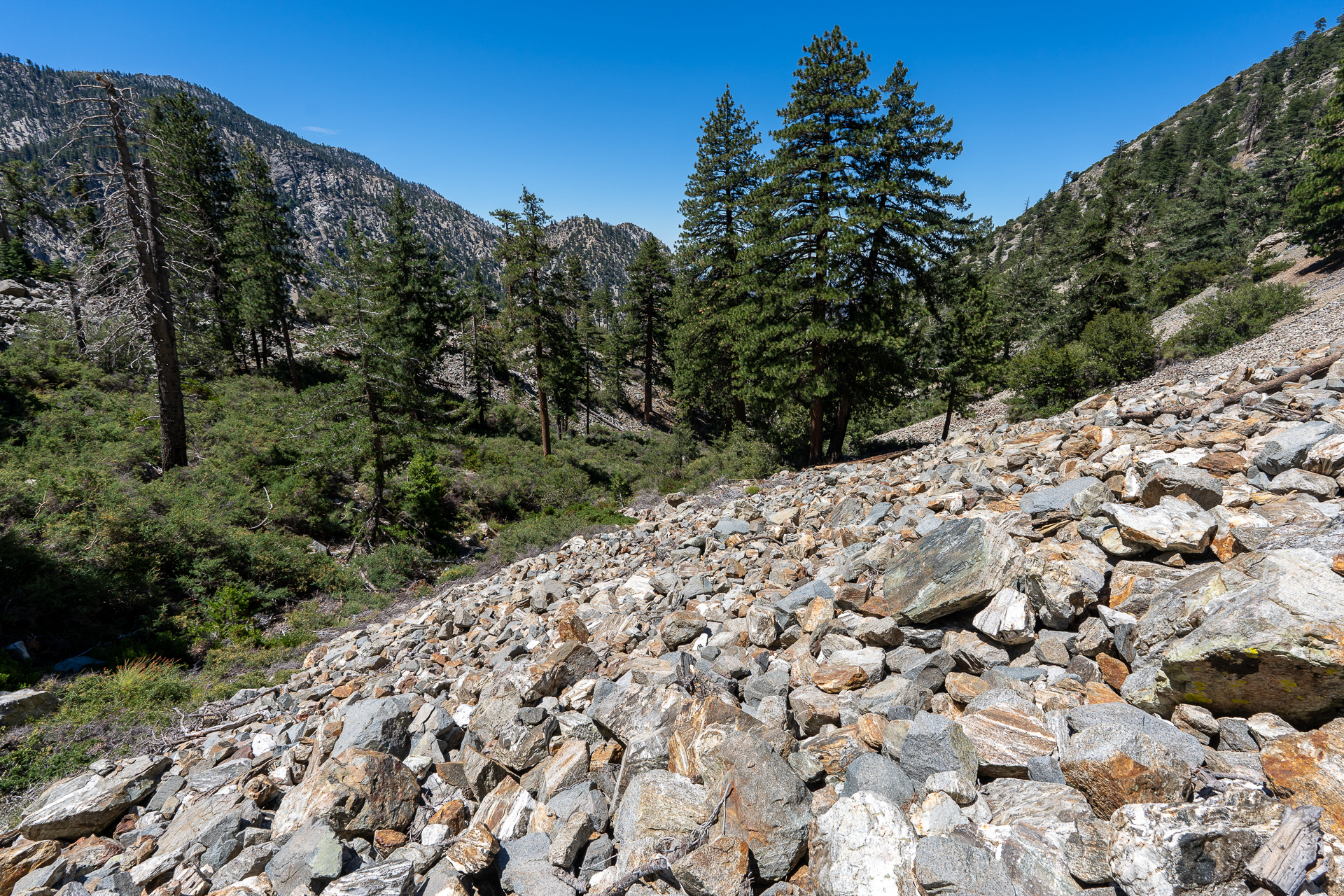 Telegraph Peak and Thunder Mountain Loop