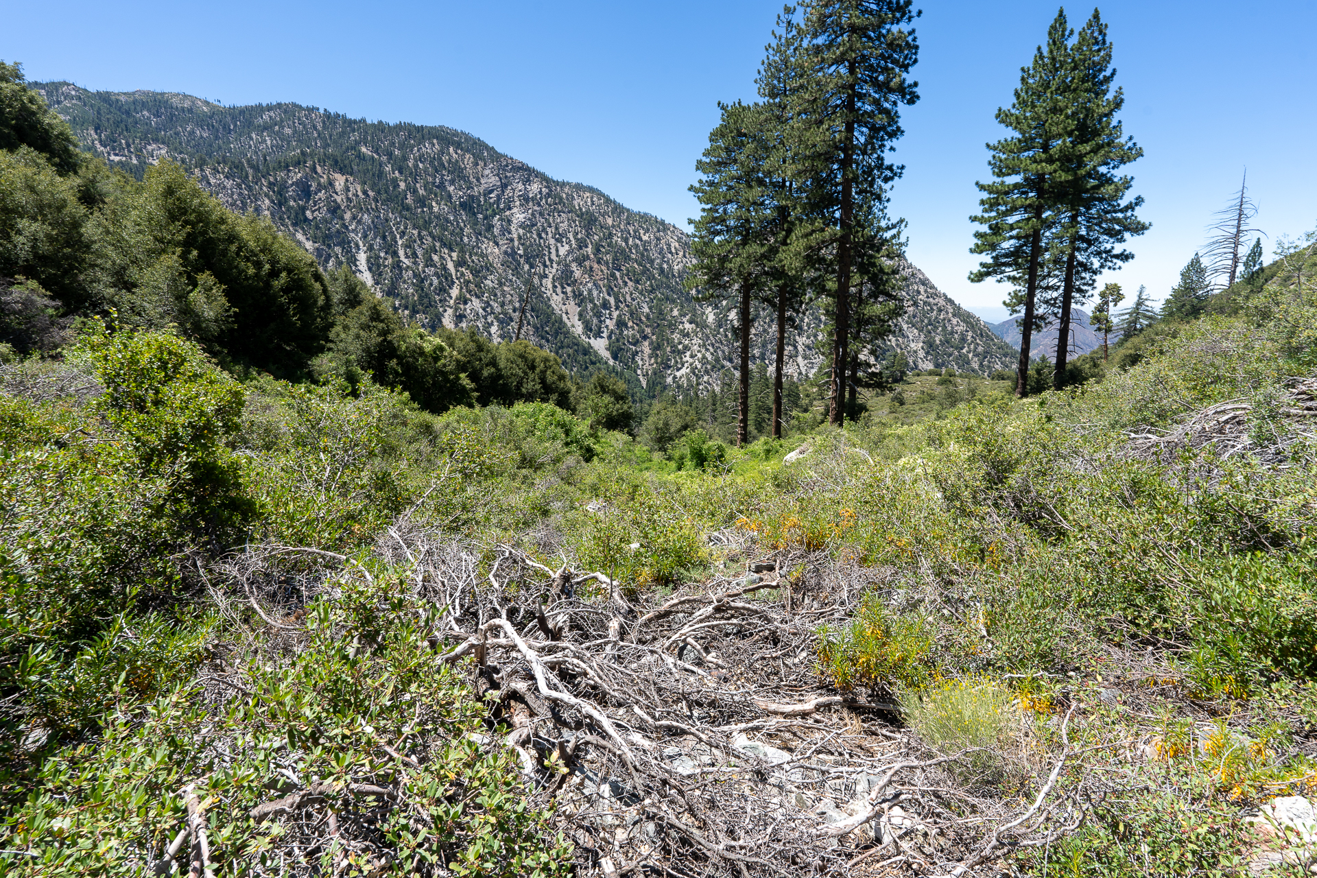 Telegraph Peak and Thunder Mountain Loop