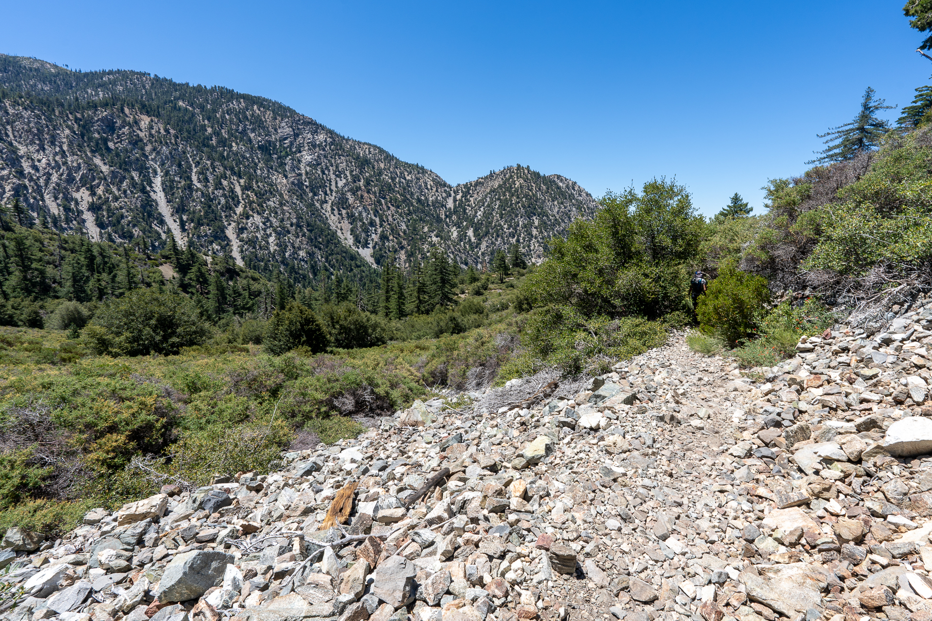 Telegraph Peak and Thunder Mountain Loop