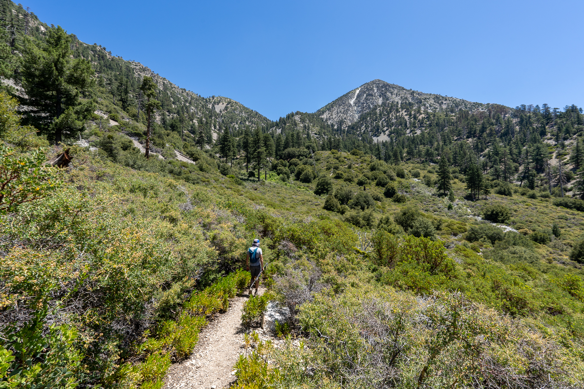 Telegraph Peak and Thunder Mountain Loop