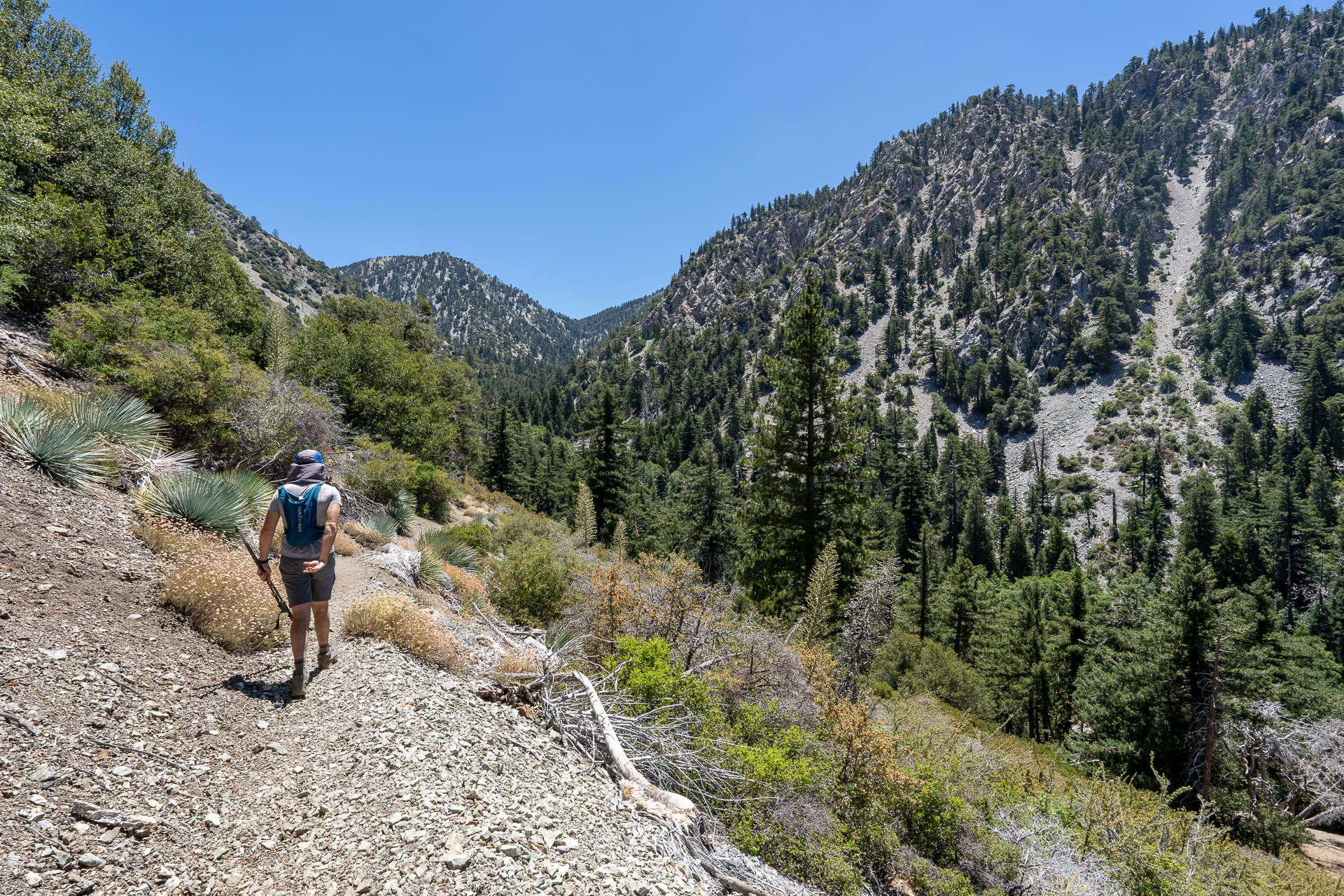Telegraph Peak and Thunder Mountain Loop