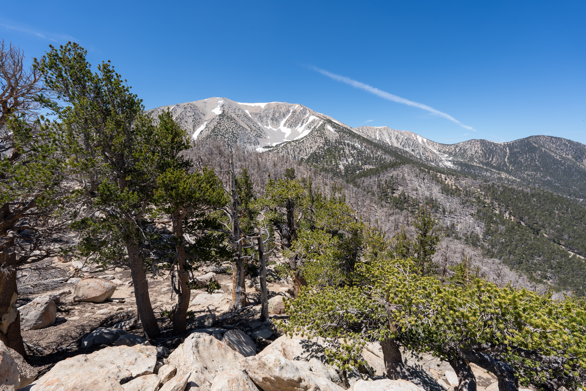 Trip report photo for Ten Thousand Foot Ridge and Grinnell Mountain Loop