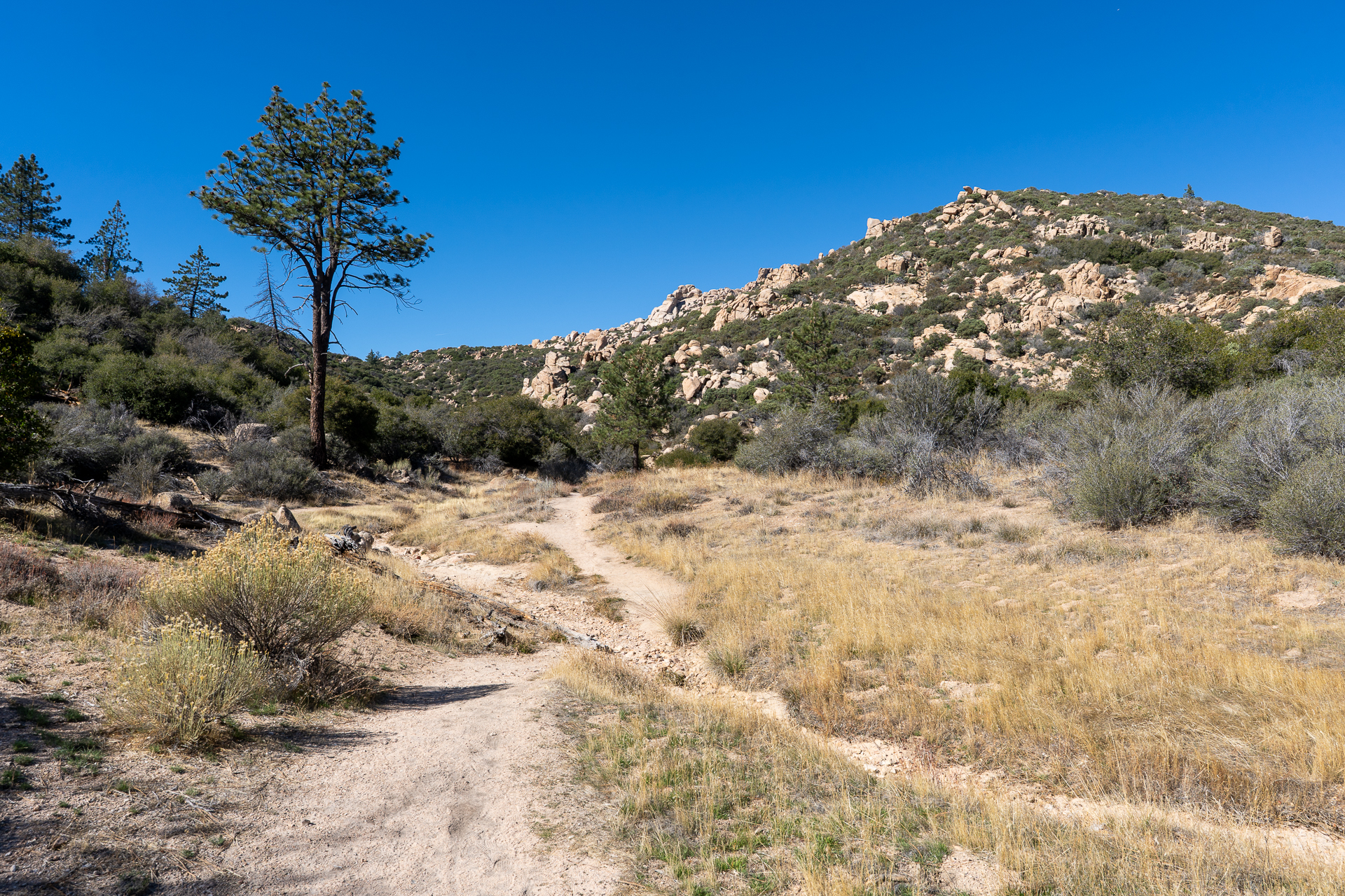 The Pinnacles and Peak 5678
