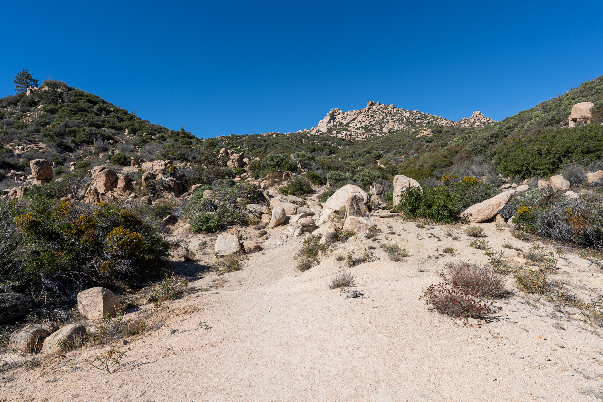The Pinnacles and Peak 5678