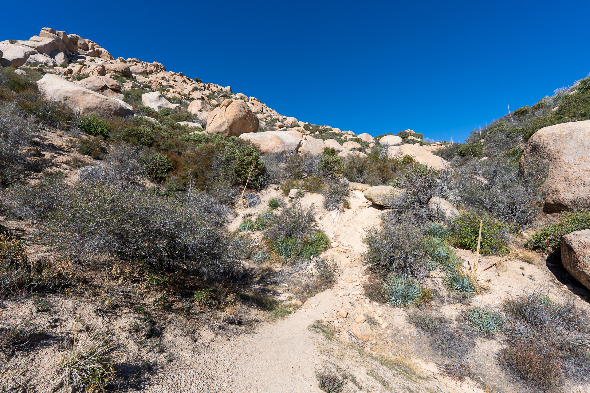 The Pinnacles and Peak 5678