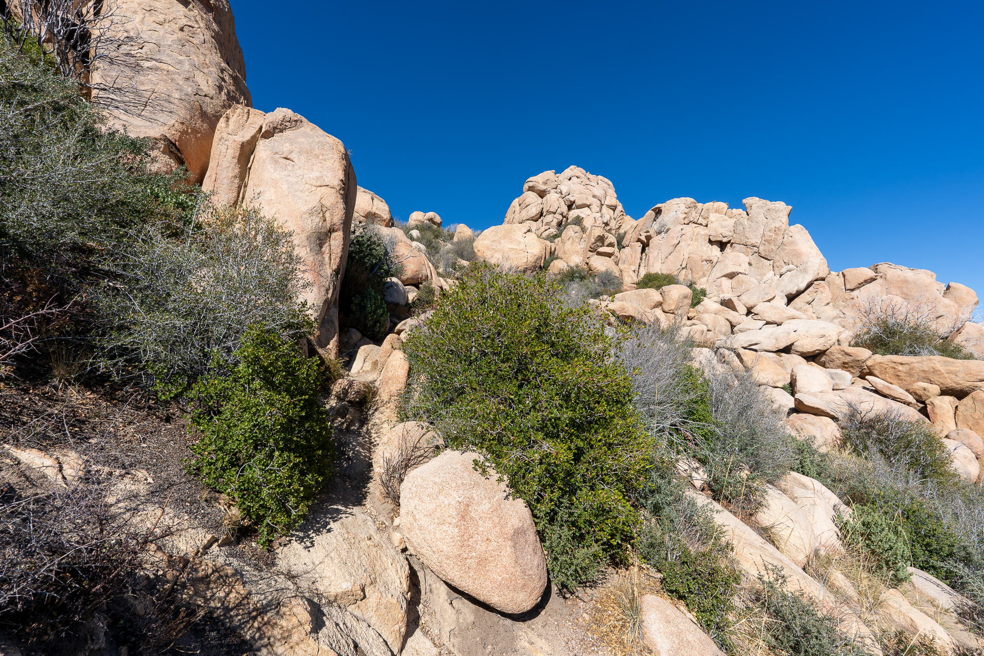 The Pinnacles and Peak 5678