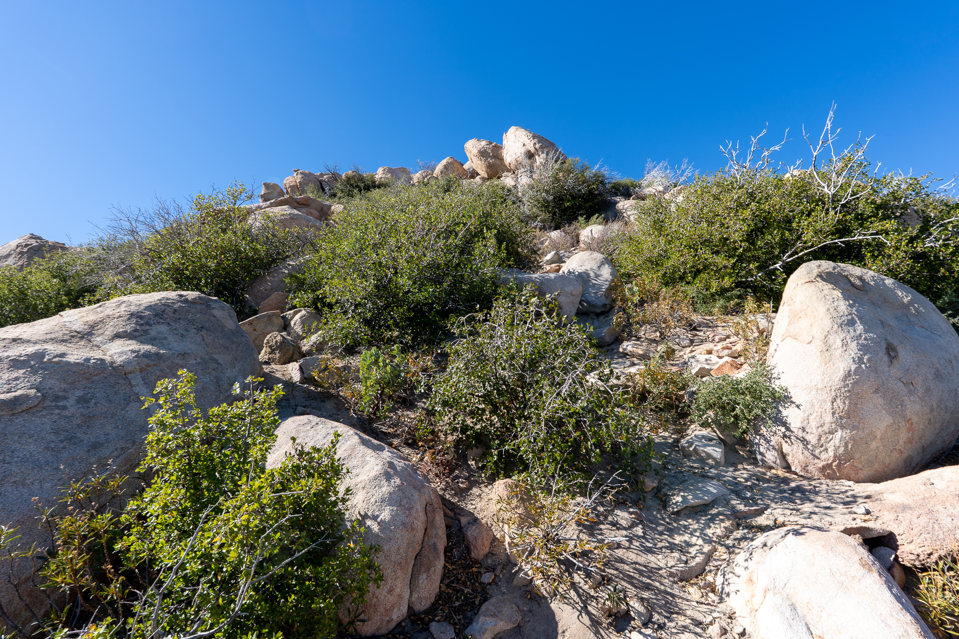 The Pinnacles and Peak 5678