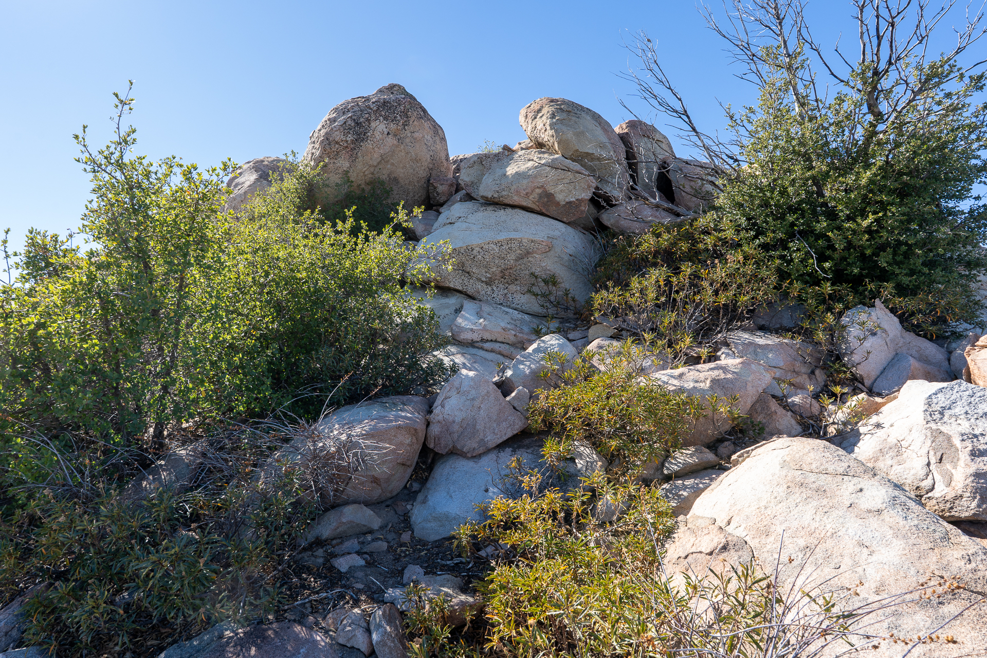 The Pinnacles and Peak 5678