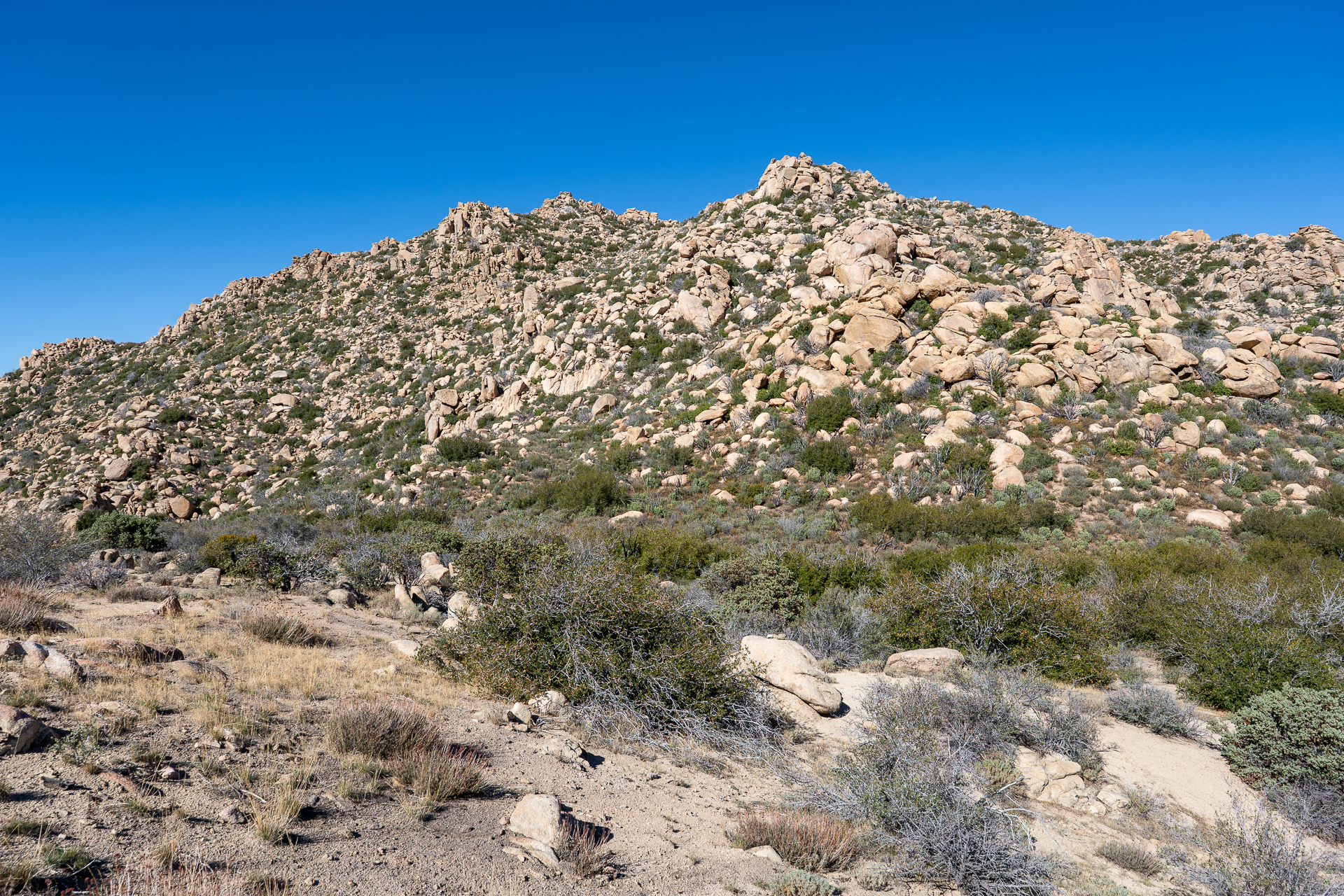 The Pinnacles and Peak 5678