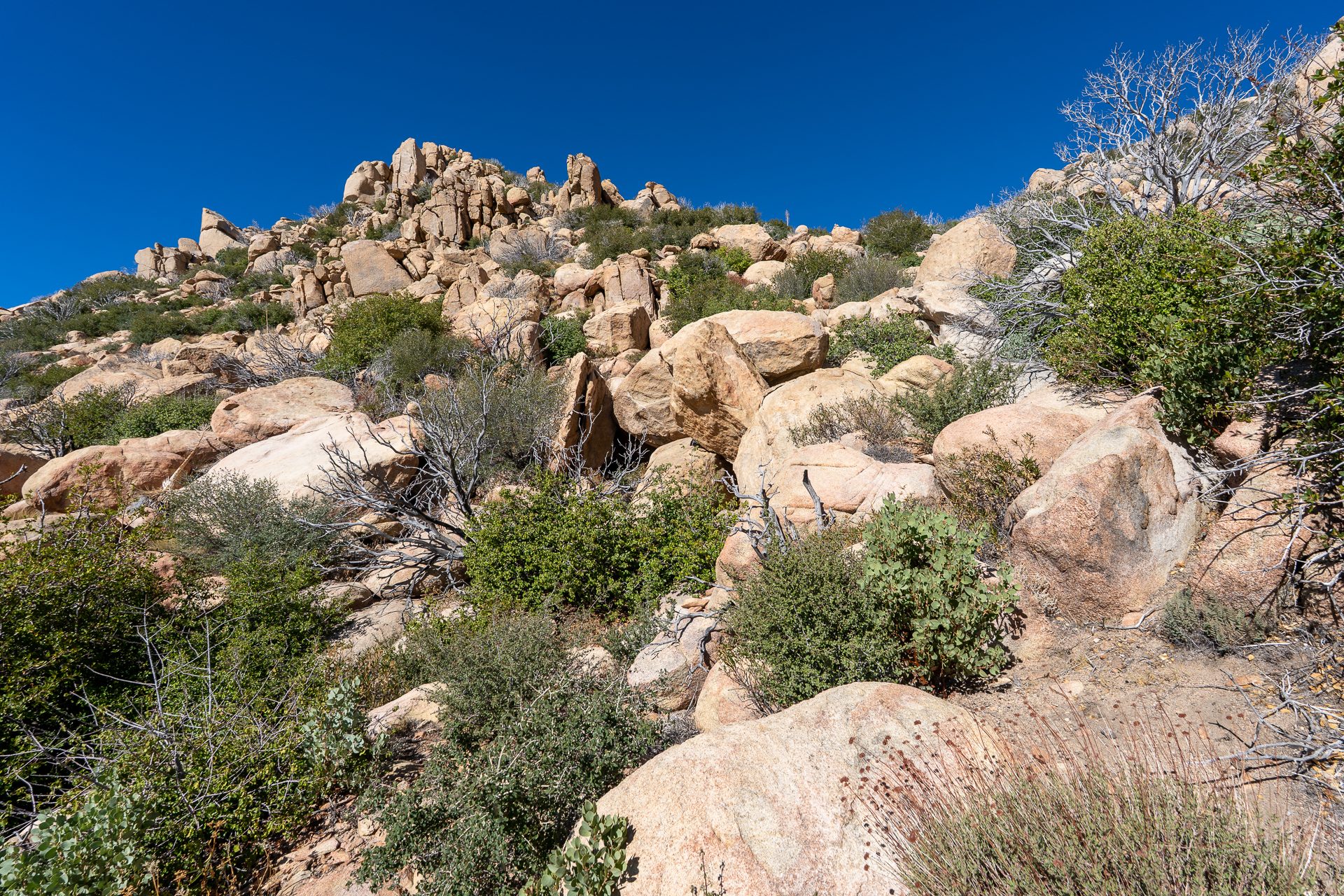 The Pinnacles and Peak 5678