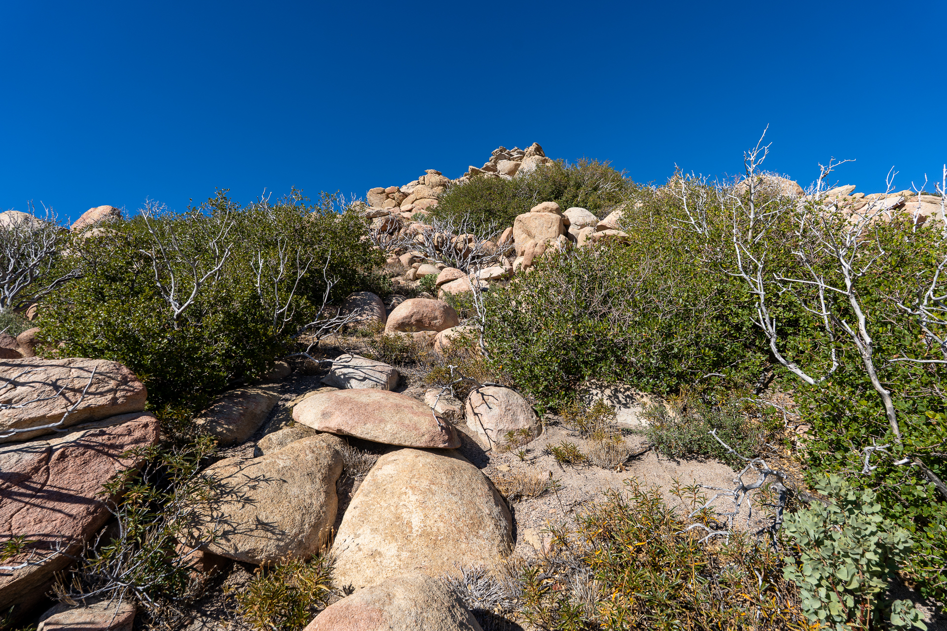 The Pinnacles and Peak 5678